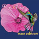 Mare Edstrom - Roots & Wings